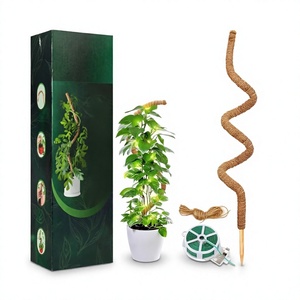 Paquete de 2 Varas de Musgo Flexibles de 48 Pulgadas para Plantas, Soporte para Monstera, Plantas Trepadoras, Estacas para Interiores y Exteriores - Product Image 3