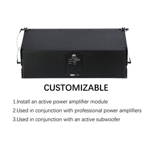 DBK Altavoces de matriz de línea doble de 8 pulgadas Escenario profesional Fiesta de bodas Matriz de línea pasiva activa Altavoces de frecuencia completa - Product Image 5