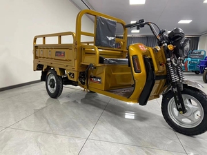Vélo-taxi à 3 roues en promotion, fourni directement par l'usine / Tricycle électrique - Product Image 4