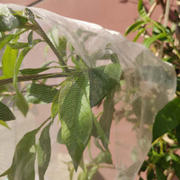 Filet Anti-Insectes en Plastique de Maille 50 pour Serres Agricoles, Utilisation en Ferme et Protection des Serres