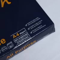 Papier copie A4 blanc de haute qualité 80g, 100% pâte de bois vierge, pour usage bureautique et domestique, pour photocopieuses et imprimantes laser - Achetez maintenant