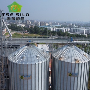 Silos à blé TSE Silo TCZK 500T-1000T en acier galvanisé à fond en trémie avec certification ISO CE et longue durée de vie - Product Image 2