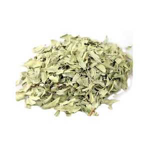 Extracto Herbal de Apocynum Venetum/folium Apocyni Veneti/Extracto de Hoja de Dogbane en Polvo - Product Image 2