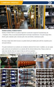 Narl Brandstof Uitschakeling Solenoïde 12V 2326016890 <span class=keywords><strong>Ha</strong></span>-2326016890 High Performance Iso 9001 Gecertificeerd 1 Jaar Garantie Voor Haulotte - Product Image 5