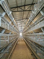Nouveau grand équipement de poulet à œufs en couches Cage à poulets de chair cryptée épaissie entièrement automatique ferme de poulet en acier à haute productivité