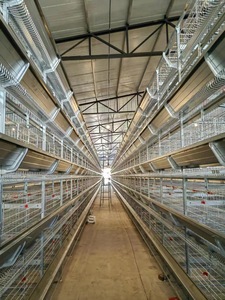 Новое крупное оборудование для производства яиц и цыплят, клетка для бройлеров, зашифрованная утолщенная, полностью автоматическая, высокопроизводительная стальная куриная ферма - Product Image 6