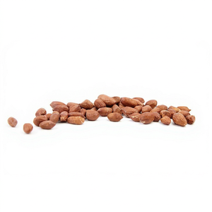 Nouvelles cacahuètes de saison de qualité alimentaire, arachides de qualité supérieure, noyaux de cacahuètes frais de qualité alimentaire, cacahuètes de nouvelle récolte de qualité alimentaire - Product Image 1