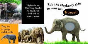 Noisy Animals My First Touch and Feel Sound Book <span class=keywords><strong>livre</strong></span> interactif pour enfants - Product Image 3