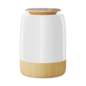 Plastic LED Night <b>Light</b> Manual Button <b>USB</b> <b>Rechargeable</b> Multicolor Warm White 2700K Middle Tulip Bedroom Minimalist Design - Product Image 1