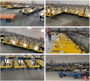 Vehículo <span class=keywords><strong>de</strong></span> <span class=keywords><strong>Transporte</strong></span> Eléctrico SW <span class=keywords><strong>de</strong></span> Cuatro Ruedas con Reversa, Tipo Burro, con Batería <span class=keywords><strong>de</strong></span> Litio, Empujable Manualmente, Plataforma Plana <span class=keywords><strong>de</strong></span> Acero para Construcción - Product Image 4