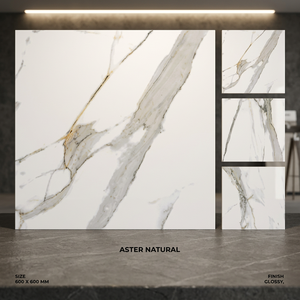 Hotel Lobby Marble Look Porcelain Floor Tiles 2x2 Ft Polished Glazed Ceramic by Vistaar - Product Image 5