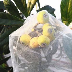 Sacs de protection en plastique pour fruits (raisins, goyaves) – Vente directe usine - Product Image 4