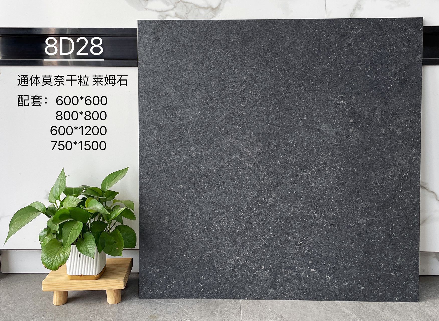 LJ2501012-1