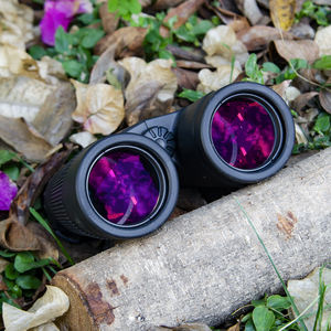 Asika SHC3 1042-E-Pro 10x42 소형 광학 유리 어린이 쌍안경 5.8 시야 및 경마 1 년 보증 - Product Image 4