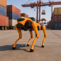 Éducation scientifique et technologique : Chien robot intelligent qui inspire l'intérêt des enfants pour la programmation (jouet électrique)