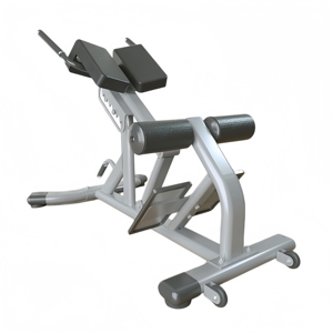 CZFIT Équipement de fitness de haute qualité pour l'entraînement de force et la musculation : Chaise romaine d'extension dorsale pour salle de sport - Product Image 2