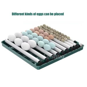 Incubatrice Automatica per Uova di Gallina <span class=keywords><strong>Mini</strong></span> da 6-128 Pezzi con Doppia Alimentazione, Materiale PP, Tasso di Schiusa del 98%, Garanzia di 1 Anno - Product Image 4