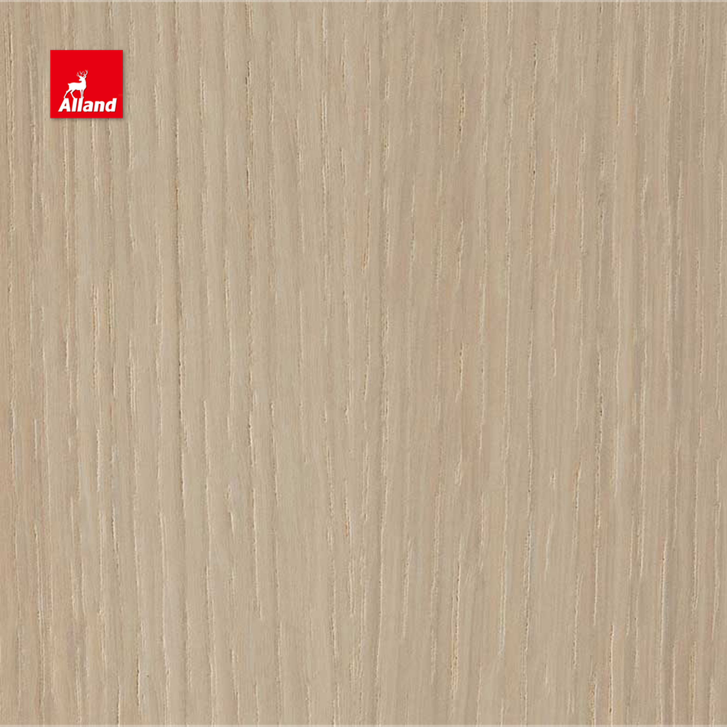 Chêne blanc teinté clair 2