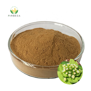 Polvo de extracto de petasitas japonesas, producto en Polvo puro y Natural, 10:1 - Product Image 1