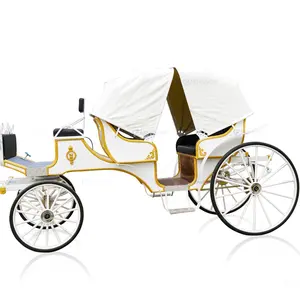 Factory price led light sightseeing horse carriage wagon / Classic convertible sightseeing wedding horse