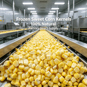 Maïs Sucré <span class=keywords><strong>Congelé</strong></span> en Gros pour Restaurants, Hôtels, Cafétérias, Cantines Scolaires, Hôpitaux, Traiteurs Aériens - Importateur et Distributeur - Product Image 5