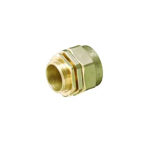 Professional Supplier best quality product Brass BW 2pt cable gland at reasonable price in China