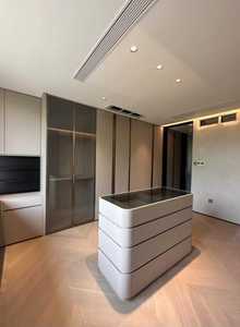 ארון בגדים בהתאמה אישית, שירות עיצוב מודרני, ארון אחסון בהתאמה אישית, ארון בגדים בעיצוב פופולרי - Product Image 4