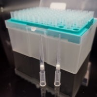 Embouts de pipette universels transparents pour laboratoire, avec filtre, 10 µl, 20 µl, 100 µl, 200 µl, 1000 µl
