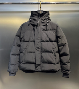 Veste courte en duvet d'oie de haute qualité, veste à capuche pour hommes et femmes, veste parka épaisse et chaude pour couple - Product Image 3
