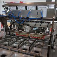 Machine d'emballage automatique de cartes Blister, 10 unités