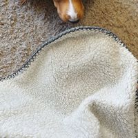 100% Polyester Große Flanell bettwäsche Elegante doppelseitige Verbund decke Wasserdicht Urins icher für Baby Solid Knitted
