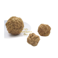 Jouet à mâcher écologique en fibre de coco pour chiens et chats, sûr et respectueux de l'environnement, petit format, usage quotidien, Vietchoice Ivy