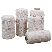 Cordon en macramé torsadé en coton naturel 100% blanc, corde tressée faite à la main pour décoration murale en gros