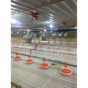 Dòng thức ăn Gia cầm Gà tự động mới cho trang trại hệ thống thức ăn dễ dàng - Product Image 6