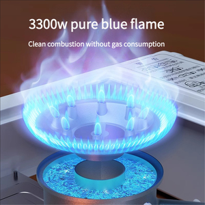 Estufa de Gas de hierro portátil para exteriores <span class=keywords><strong>Caska</strong></span>, cocina plegable para acampar, función magnética, nuevo juego completo, quemador de estufa de Metal Manual - Product Image 2