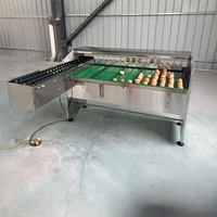 Nouvelle machine industrielle automatique de triage des œufs, équipement de triage des œufs de poulet, trieuse électronique d'œufs haute vitesse pour les fermes avicoles