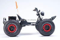 Go Kart Eléctrico Todoterreno de Alta Potencia 48V 1200W con Frenos de Disco, Kart de Carreras para Adultos, Potencia Máxima 3800W
