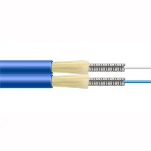 Indoor Duplex Armored Gjsfjbv Cable Single Mde G652D Fiber Cable Optic Optical Cable