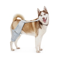 Genouillère pour chien pour jambe arrière déchirée Support de genou pour petits et grands chiens