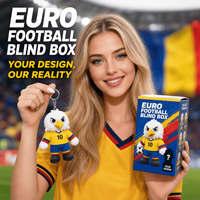 Porte-clés en peluche personnalisé Aigle de Roumanie Euro Football, Boîte Mystère, Vente en Gros, OEM ODM, Animal en Peluche, Jouet Mystère de Collection, Cadeau pour Fans