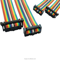 Câble plat IDC vers IDC personnalisé de 2,54 mm pour fils électriques 6P 10P 14P 16P 20P 40P, câble plat à ruban IDC