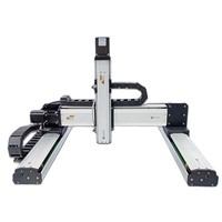 Módulo de movimiento lineal con motor de husillo de bolas de alta carga QIGE, robot pórtico multieje, sistemas XYZ456, acero para rodamientos, 1.5 años de garantía, 13 kg