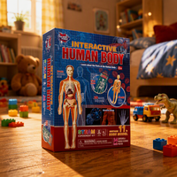 Kit d'apprentissage BIG BANG SCIENCE ODM/OEM, fabricant de kits de modèles d'anatomie humaine pour les projets de biologie en classe pour les étudiants