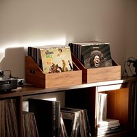 Boîte de rangement pour disques vinyles en bois, caisse et support pour vinyles rétro et durable, boîte de rangement pour albums, boîte pour plus de 60 disques