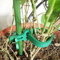 Sangles de fixation réglables en plastique pour arbres, vente en gros d'usine, pour jardin, agriculture, serre et fleurs, attache-câbles