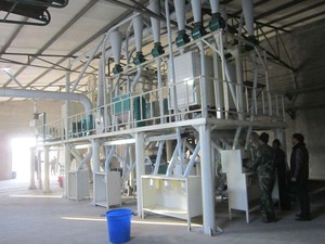 Ligne de production complète de farine de blé et de maïs 20TPD, petite usine de mouture de farine de maïs pour démarrage d'entreprise - Product Image 6