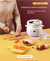 Dozztone — mini-marmite de cuisson, contrôle par ordinateur, vente en gros usine, cuisson lente