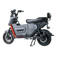 Venta al por Mayor de Motocicletas Eléctricas de 1000-2000W, Scooters Eléctricos para Adultos, Potente Motocicleta Eléctrica Urbana RU2
