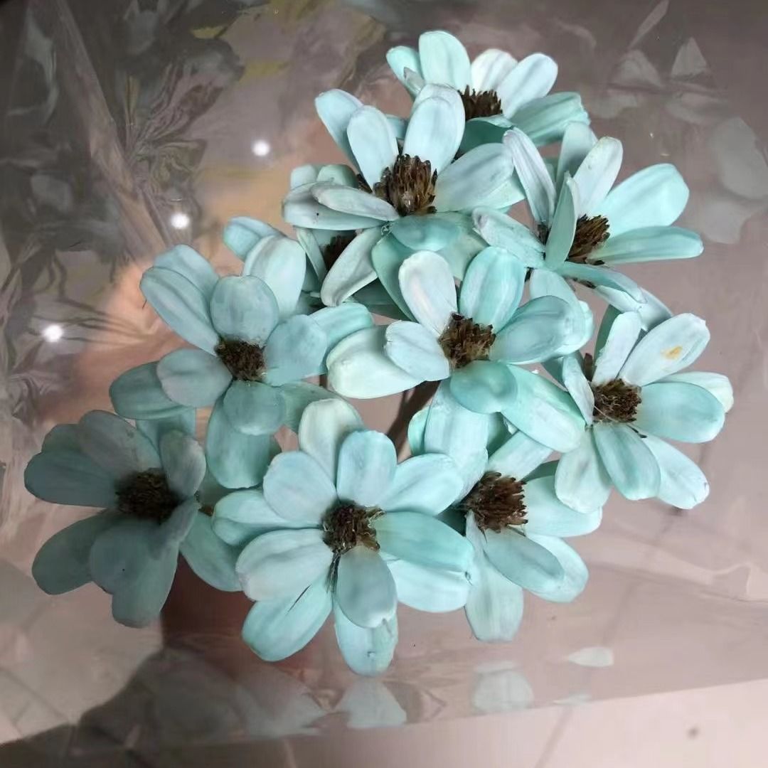 How to Choose the Best Hybrid Flowers Seeds for Your Garden