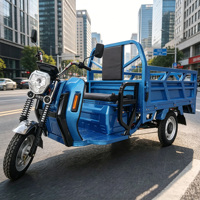 Pneus robustes Super Value Choice pour renforcer le matériau de l'essieu arrière du tricycle électrique de transport de marchandises